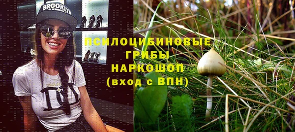 дживик Алзамай