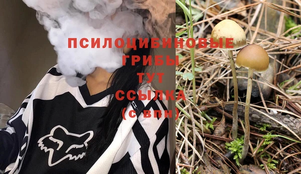 скорость Семилуки